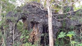 Watu Gajah Batu Keren di Botodayaan